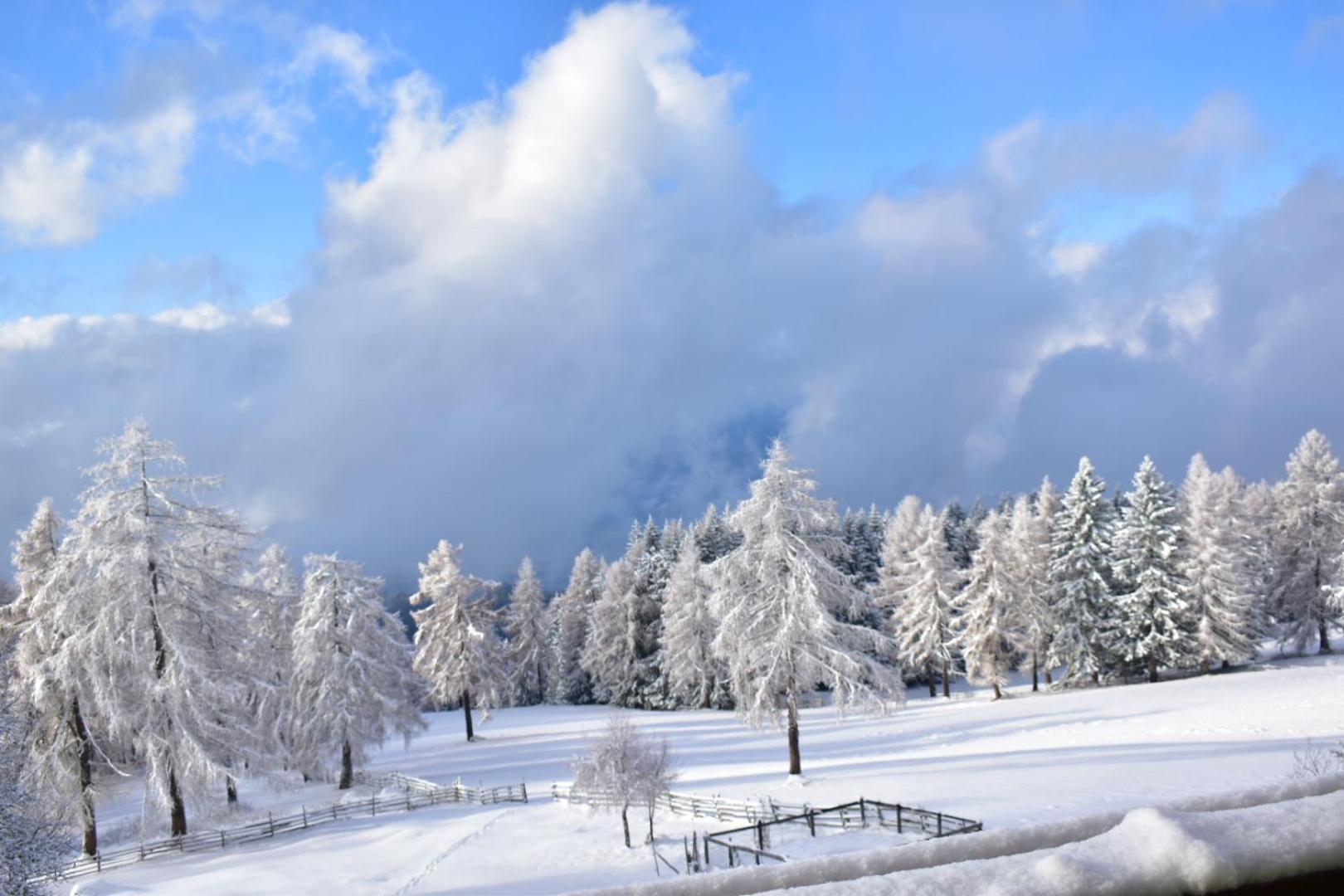 Gasthof Schmiederalm Aldino Kültér fotó